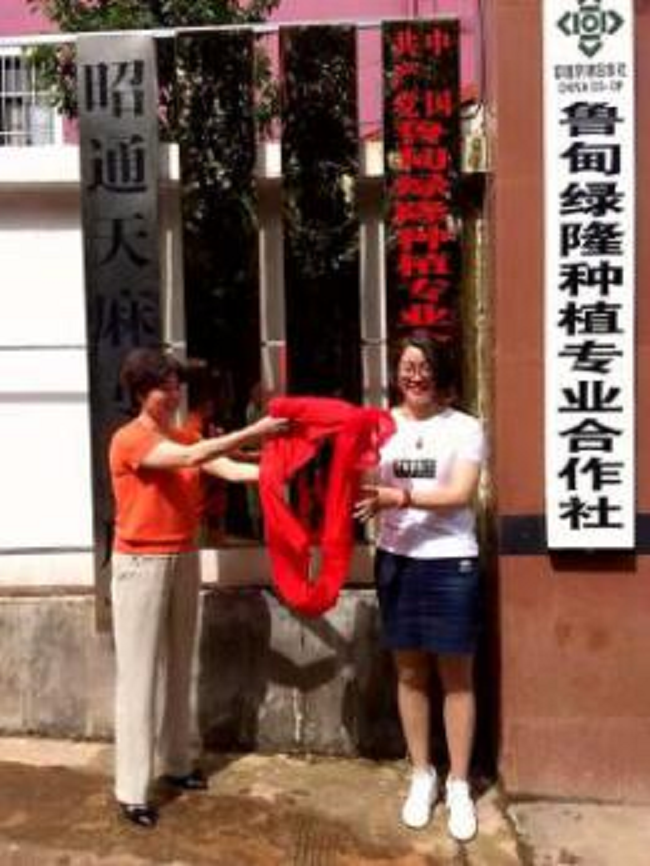 组织合作社.png